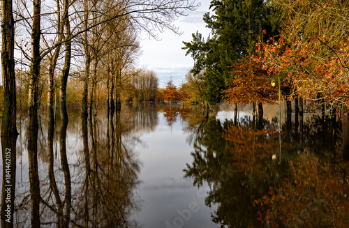 autumn trees reflected in water