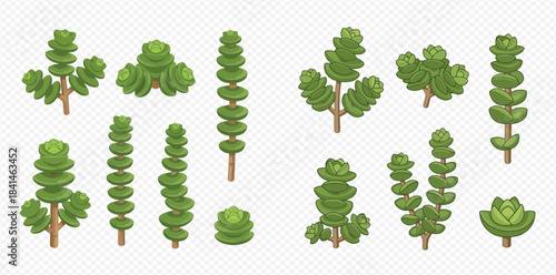 Set of cartoon succulent plants and bushes for garden or game design elements.