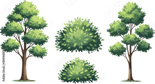 Beautiful green trees and shrubs foliage illustration in flat vector style for landscape design, nature scenery, gardening, and environmental projects