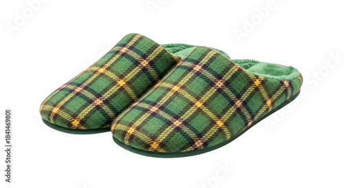 Green plaid slippers isolated on a transparent background shoes footwear