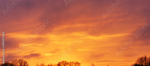 Vivid golden sunset sky glowing above peaceful winter tree silhouettes