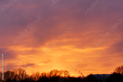 Dramatic golden sunset sky above winter trees and distant buildings