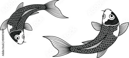 Detailed koi fish line art illustration featuring two intricately patterned swimming carp in elegant black and white style