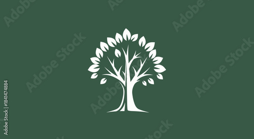 Stylized white tree with leaves and branches on a dark green background