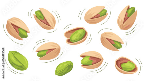 Vector illustration of pistachios in various stages of opening with green kernels and shells