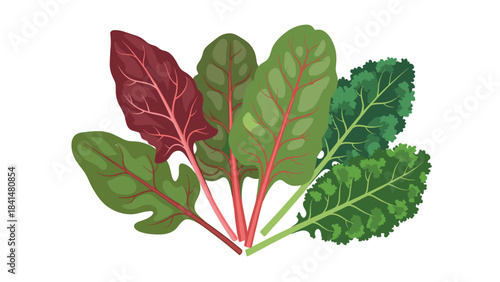 A vibrant bunch of colorful leafy greens with pink stems and veins on