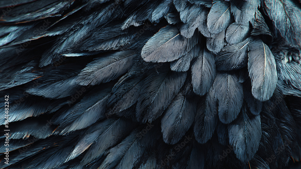 Obraz premium An artistic shot of multiple feathers of a raven's wing, creating a mesmerizing pattern. The intricate detail shows the beauty of nature.