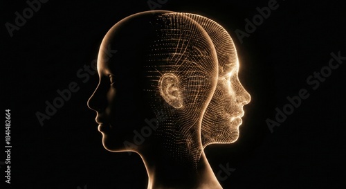 Fototapeta Naklejka Na Ścianę i Meble -  Dual Faced Digital Model with Wireframe Texture Against Black Background in Stunning 3D Visualization