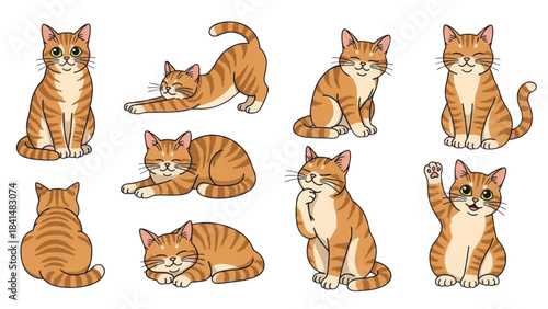Set of cute cartoon ginger cats in different poses and actions vector illustration