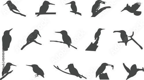 Kingfisher bird silhouettes collection in various poses flying perching diving holding prey, ornithology illustration wildlife art nature conservation design