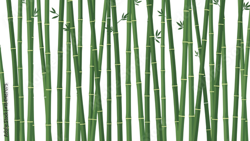 A vibrant illustration of green bamboo stalks with leaves for design and decoration purposes easily