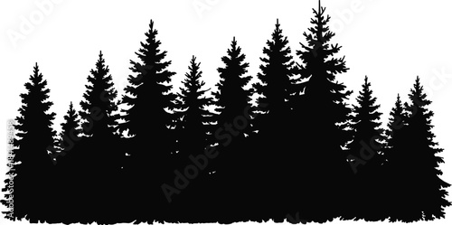 Wide panoramic black silhouette of coniferous forest with pine, spruce and fir trees isolated on white background, nature landscape vector illustration