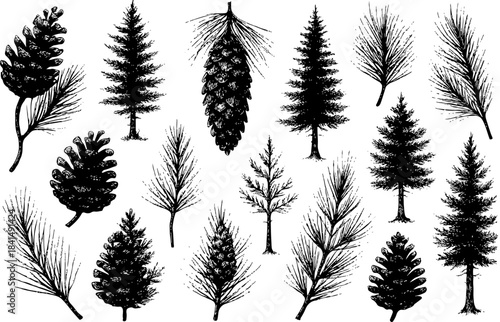Minimalist Black Pine Tree Silhouette Vector Illustration
