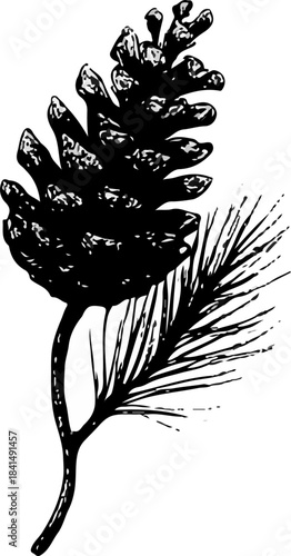 Black Pine Cone Silhouette Vector Icon for Nature Designs