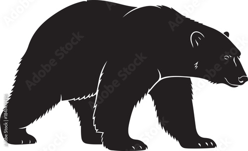 Black bear silhouette standing on all fours with fur texture details animal wildlife