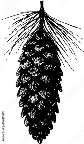 Black Pine Cone Silhouette Vector Icon for Nature Designs