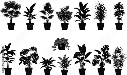 Indoor house plant collection silhouette, tropical potted plants vector set, modern botanical decoration, leaf foliage design, cad drawing flat vector illustration