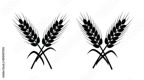 A simple illustration of two pairs of wheat stalks in black and white