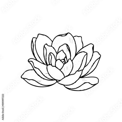 To generate the image, you'll need to log in to ChatGPT Let me know if you need assistance with that!