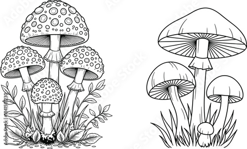 Fantasy Forest Mushrooms Growing in Grass and Foliage, Intricate and Simple Styles, Nature Outline and Monochrome Vector Illustrations for Coloring Book.