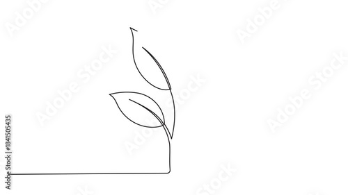 Leaves continuous one line drawing on black green white background. plant branch Self drawing animation. planting tree single line art hand drawn animated 4k 