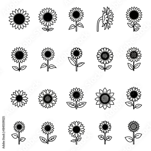Collection of Silhouetted Flower Icons for Design and Decoration