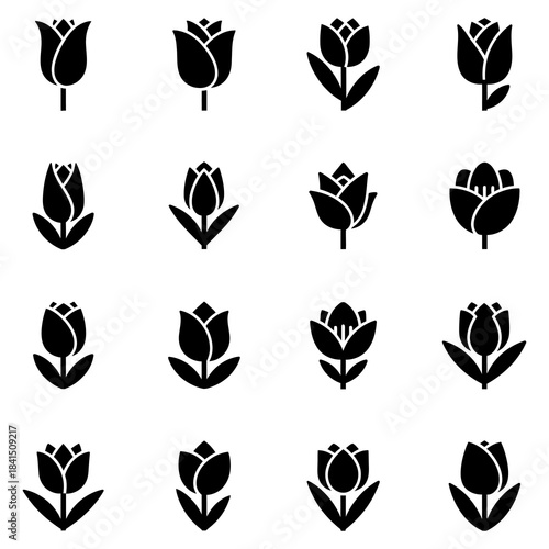 Collection of Silhouetted Flower Icons for Design and Decoration