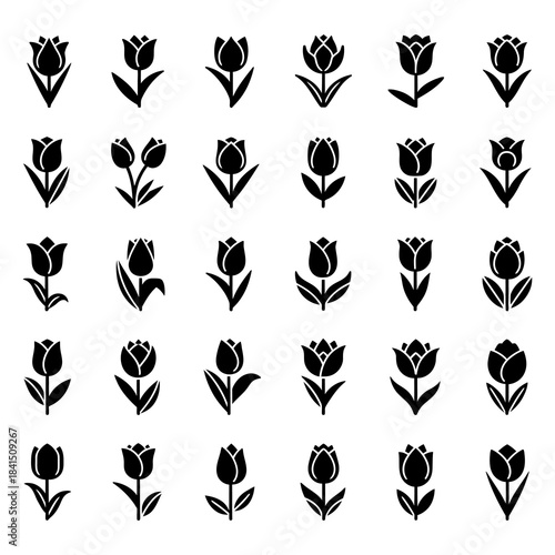 Collection of Silhouetted Flower Icons for Design and Decoration
