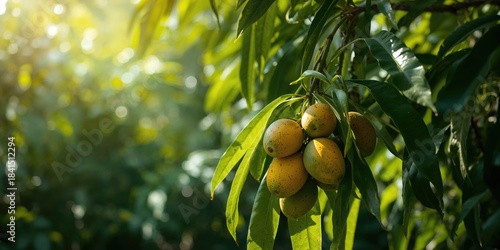 Fototapeta Naklejka Na Ścianę i Meble -  Fresh fruits arranged among sunlit leaves, natural abundance for healthy eating awareness