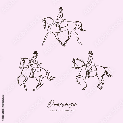 Equestrian sport line art, horse and rider, dressage illustrations