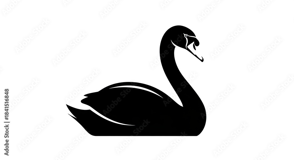 Fototapeta premium Elegant Black Swan Silhouette on White Background.