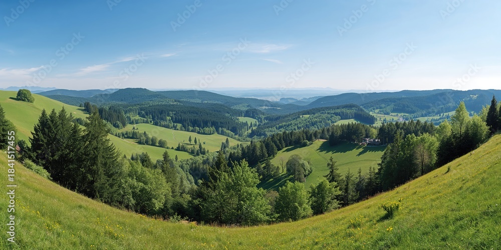 Fototapeta premium Landscape near Haslach in the Black Forest featuring lush greenery and rolling hills, suitable for background or editorial layouts