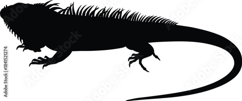 “Black iguana silhouette isolated on white background showcasing reptile shape, wild animal design, lizard outline vector illustration for stock use”