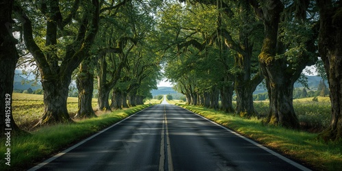 Mossy trees lining an asphalt pathway, serving as a backdrop for ecological preservation efforts, Earth Day