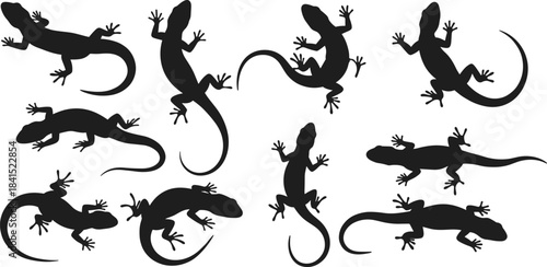 “Collection of lizard and gecko silhouettes in various poses on white background, reptile vector illustration perfect for wildlife, nature and design projects”