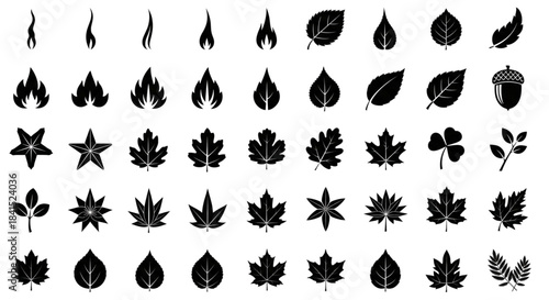 Nature Icons Collection: Leaves, Flames, Acorns, Stars for Autumn, Eco, Design Projects