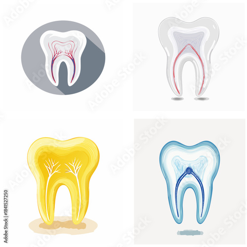 Download dental vector illustrations depicting tooth structure and anatomy showcasing different styles and visual representations for medical or educational purposes
