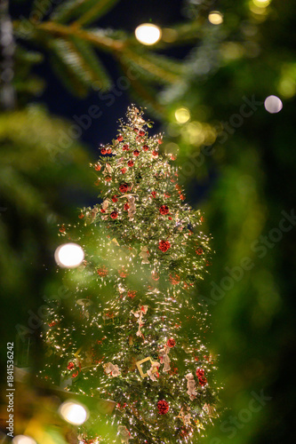 Illuminated and decorated Christmas tree outdoor in a town. Sparkling light and decoration on Christmas tree.