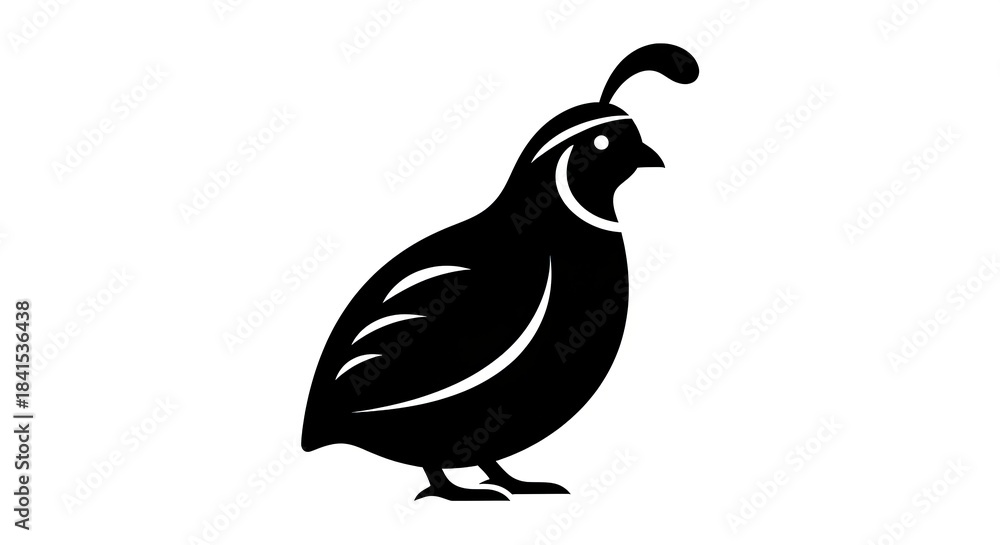 Fototapeta premium Elegant Quail Silhouette - A Minimalist Bird Illustration for Design Projects.
