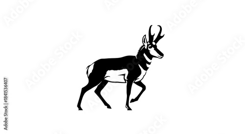 Elegant Pronghorn Antelope Silhouette on White Background.