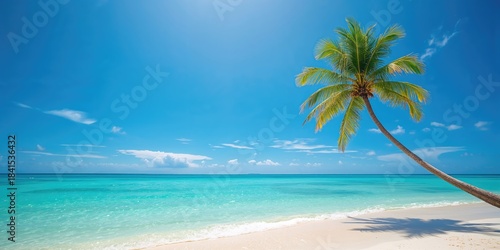 Fototapeta Naklejka Na Ścianę i Meble -  Palm tree on beach scenery, ideal for background layouts and editorial headers