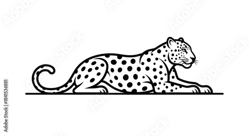 Elegant Leopard Lying Down Line Art Illustration.