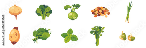 vegetables, big assorted set with jicama, kale, kohlrabi, lemongrass, lentil, lotus root, malabar spinach, mint, morning glory, mung bean sprouts