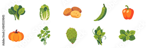 vegetables, big assorted set with mustard greens, napa cabbage, nopales, okra, orange bell pepper, oregano, parsley, potatoes, pumpkin leaves, pumpkin