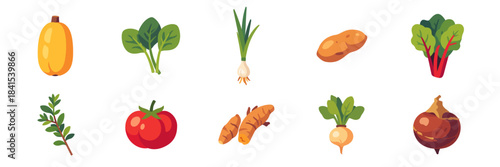 vegetables, big assorted set with spaghetti squash, spinach, spring onion, sweet potato, swiss chard, thyme, tomato, turmeric, turnip, water chestnut