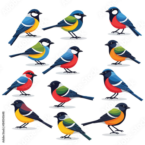 Colorful birds simplified in a realistic 2D flat vector illustration style, standing isolated against a clean, bright white background, conveying natural beauty and simplicity.