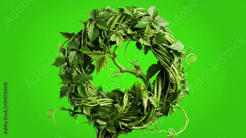 Growing Cycle Rotation with vines forming a circular frame effect ad_ready green screen growing vines style featuring vine, circular,