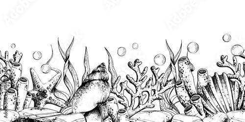 Hand drawn under sea illustration. Ocean bottom concept with sea plant, coral, shell, starfish, air bubble. Marine life for decor or design. Seamless border pattern outline graphic illustration