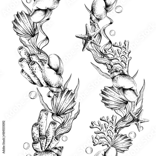 Black and white seamless pattern drawing of shell, coral, seaweed, and starfish. Marine life line art illustration for textile, wallpaper, and fabric. Vertical borders outline graphic