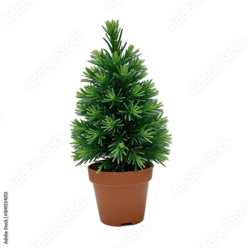 Miniature Christmas Tree in Modern Pot Studio Photography Transparent Background HDR